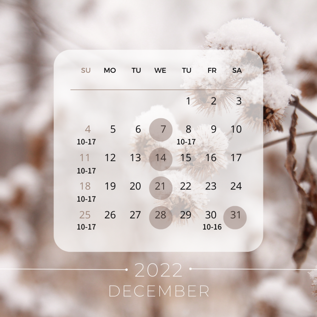 Beige Brown Modern Winter Photo December 2022 Calendar Instagram Post
